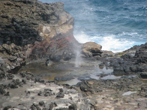 blowhole