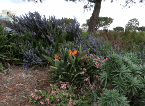 Surrounded by flowers and warm breezes, I took it slow and jogged along happily.